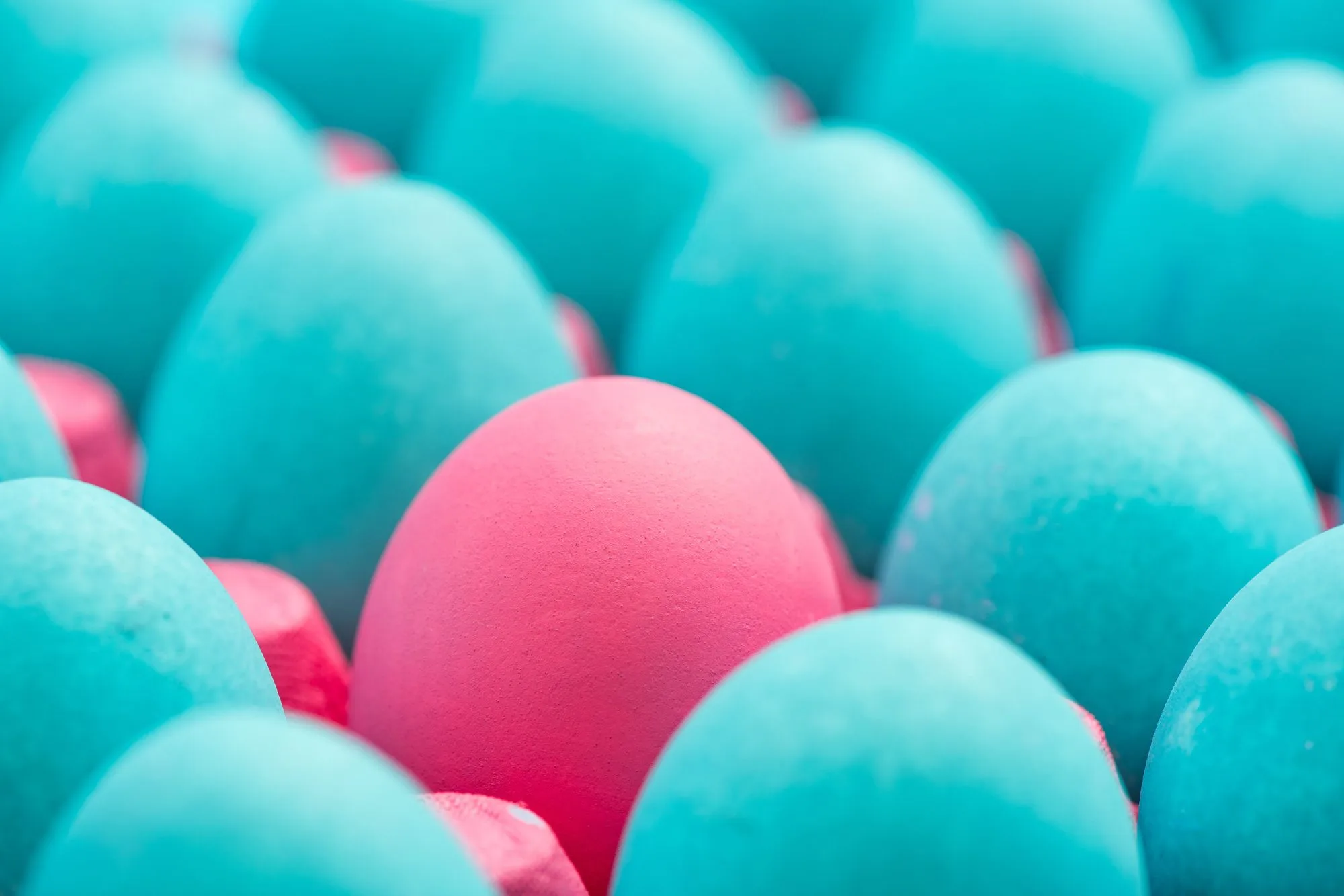 Be different conceptual visual art of eggs